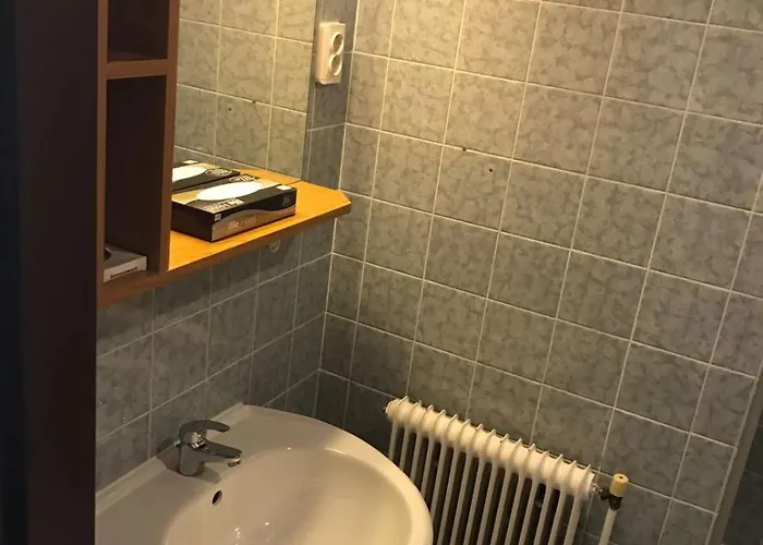 Guest house Babenberger 3*