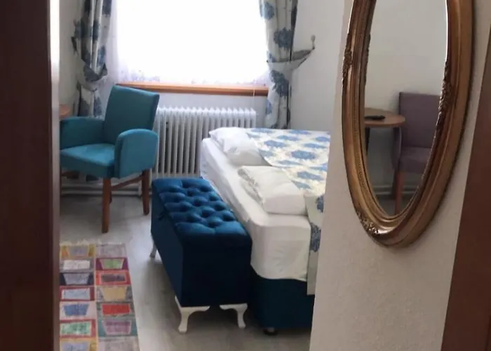 Babenberger Guest house 3*